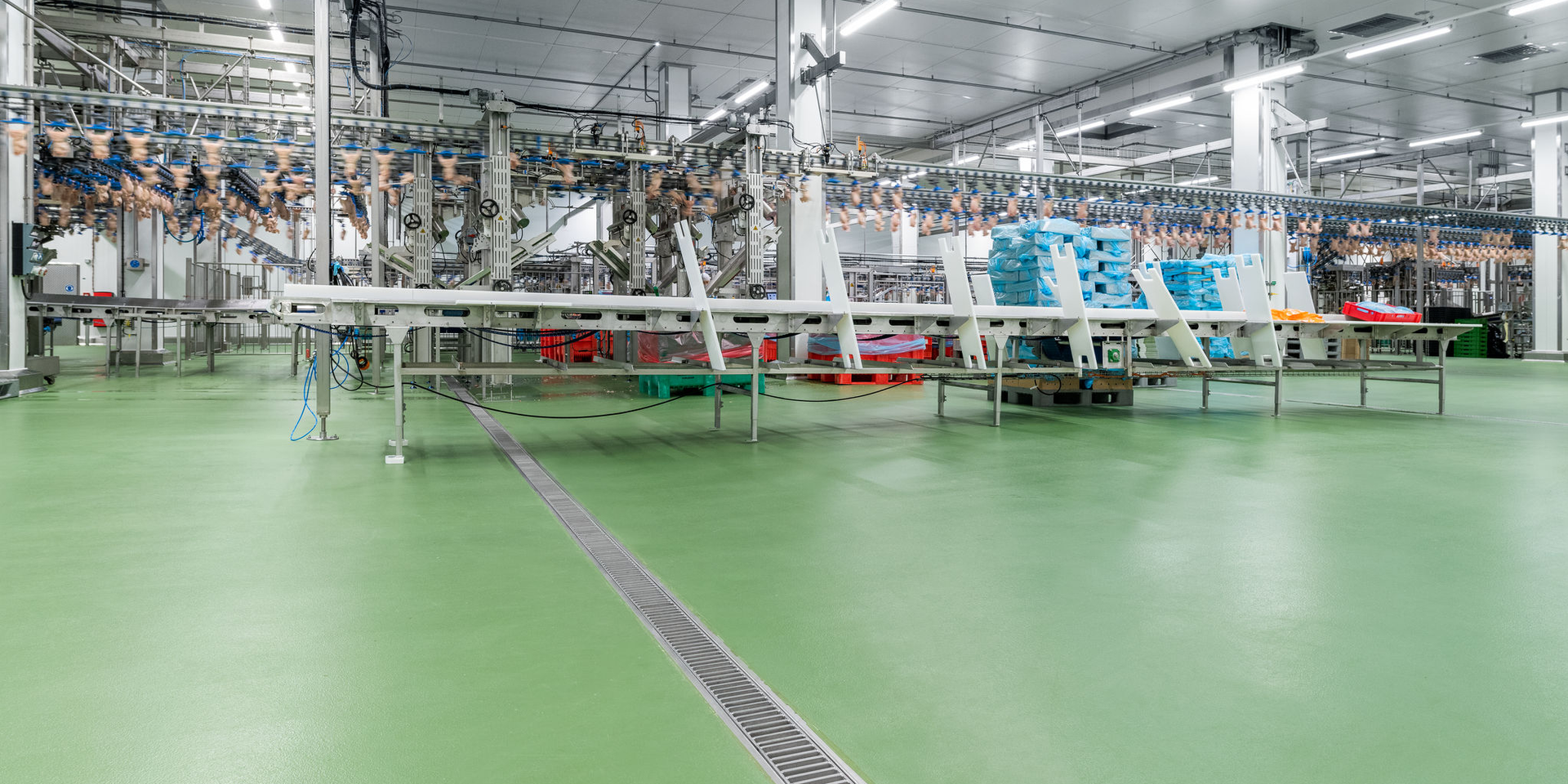 Green floor of a food processing plant