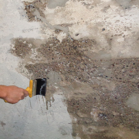 Skalflex® Saltbinder / Primer