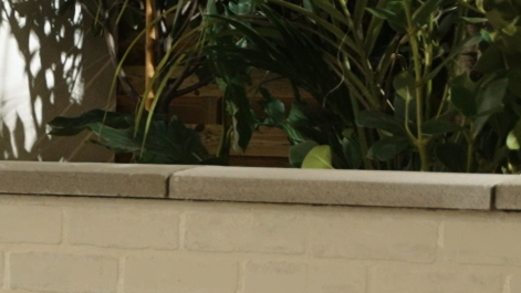 Coller couvre-mur