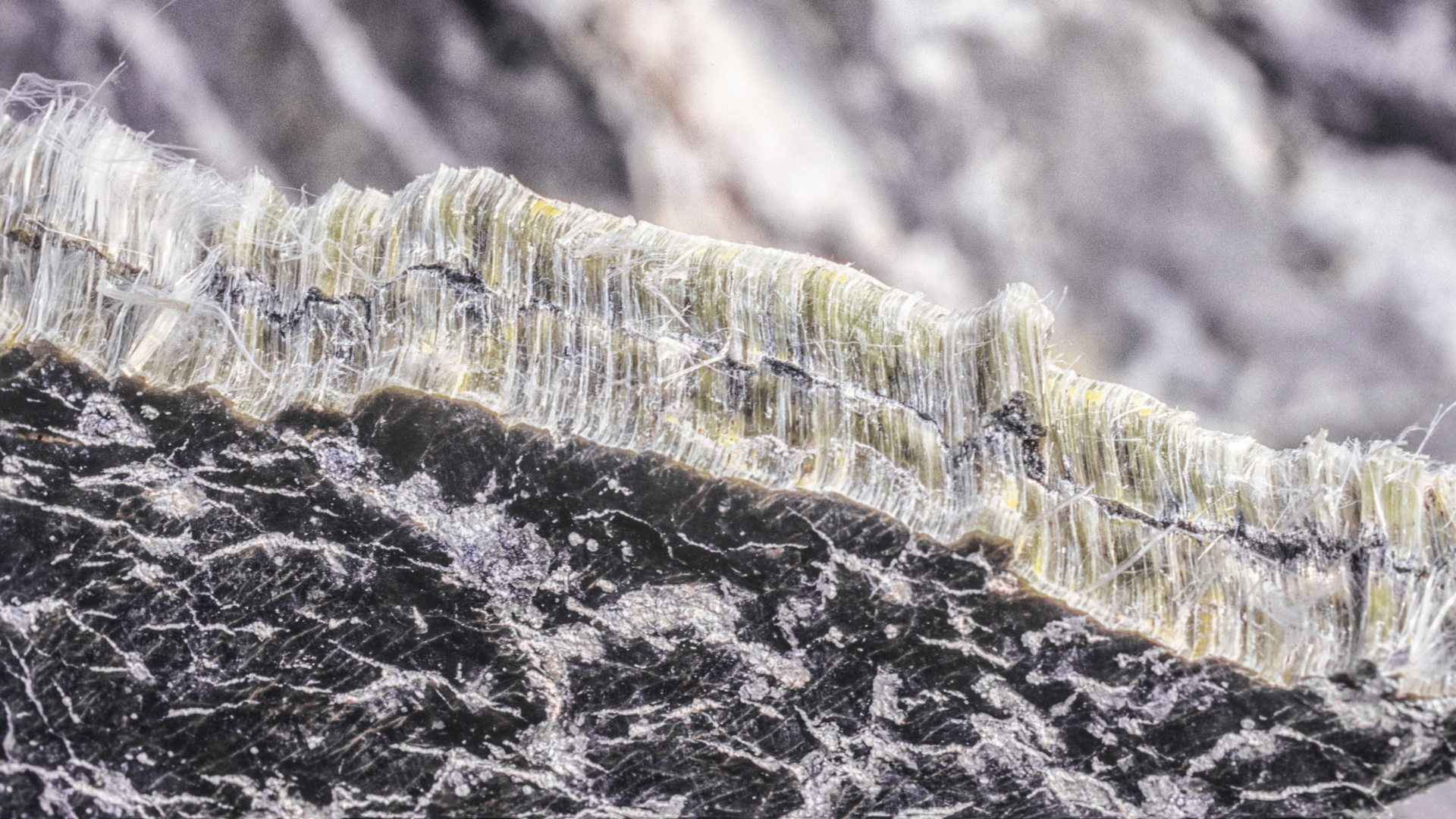 Close-up of fibrous mineral rock surface