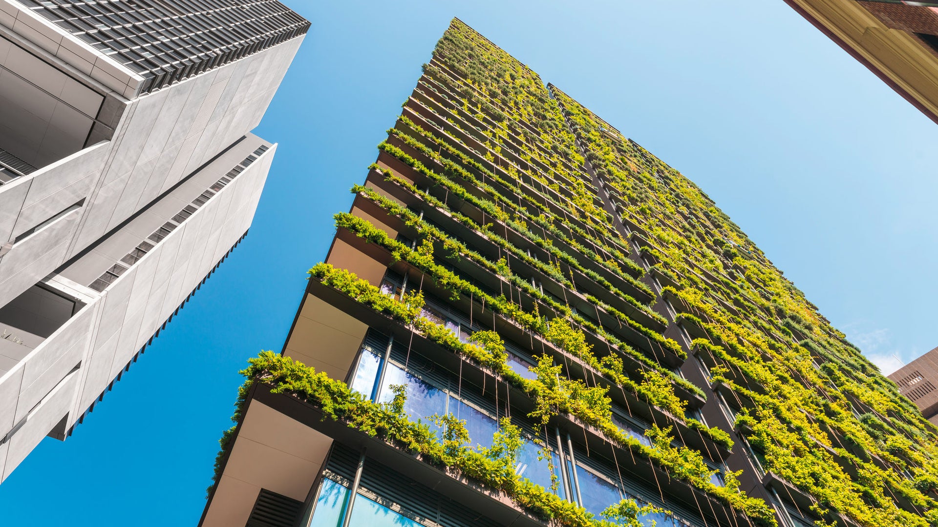 Sustainability: High Rise building with green terraces