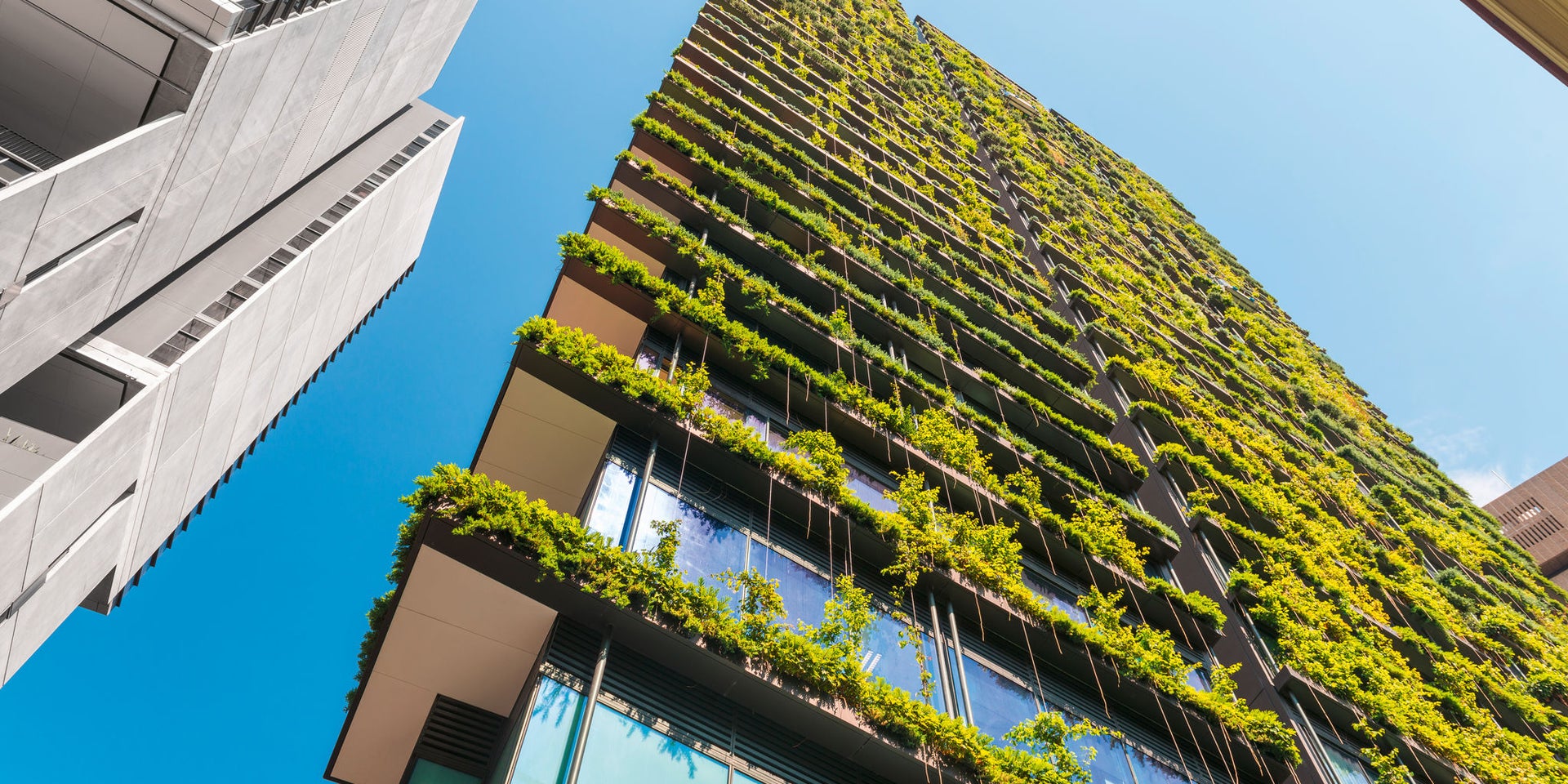 Sustainability: High Rise building with green terraces