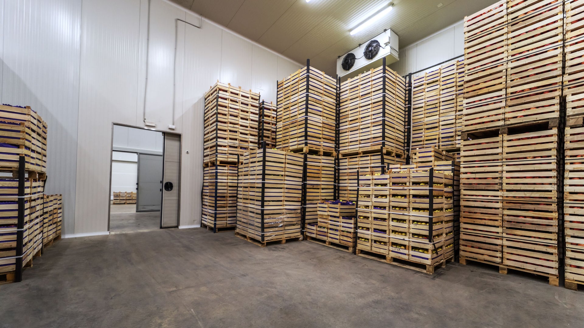 Industrial cold storage room with stacked crates