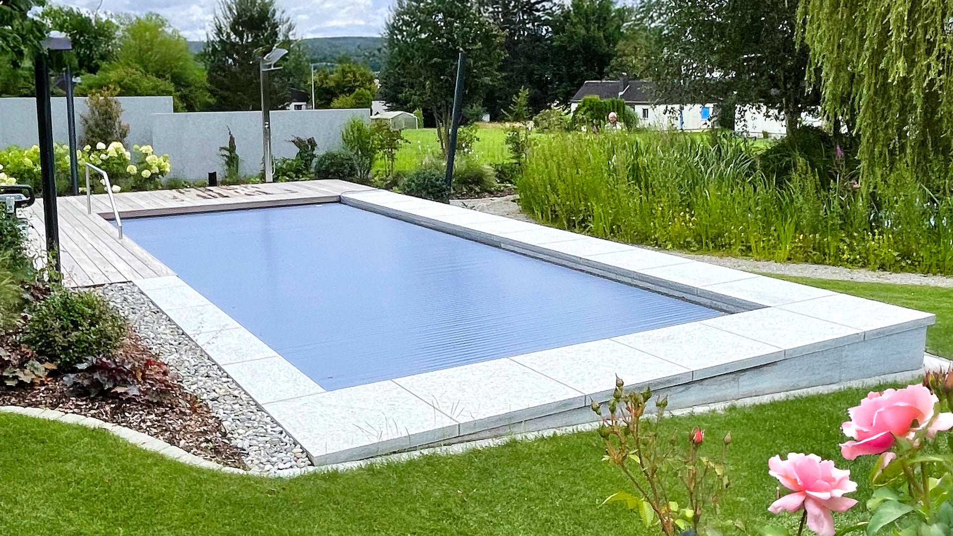 Modern backyard swimming pool in lush garden