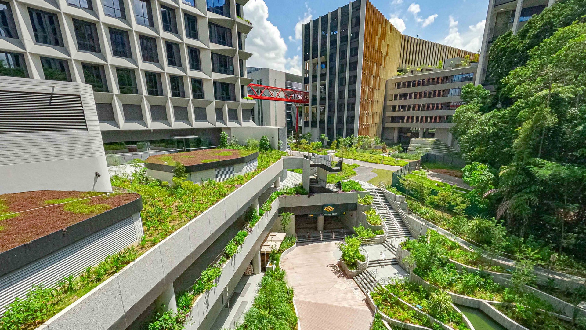 Modern urban campus with terraced green gardens