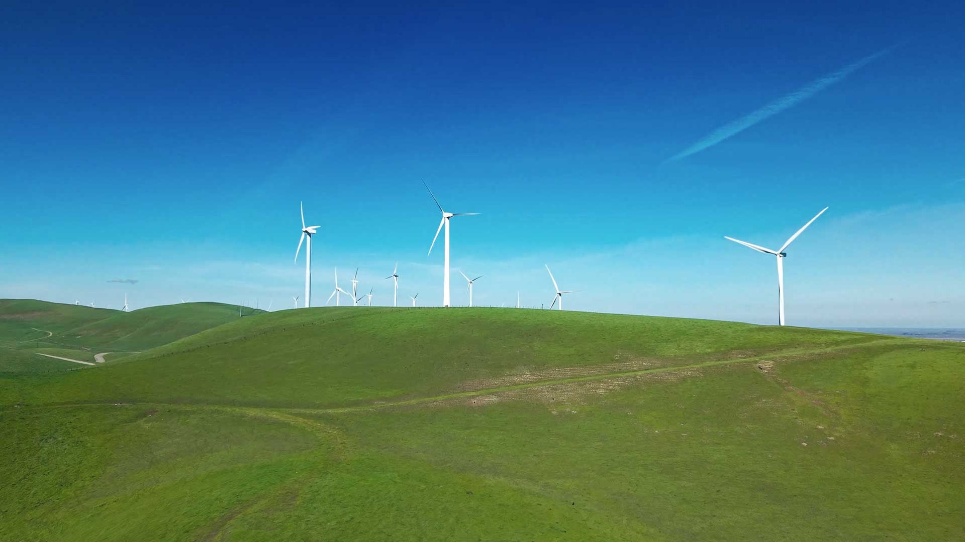 wind turbines at Altamont Pass Wind Farm, Dublin, California