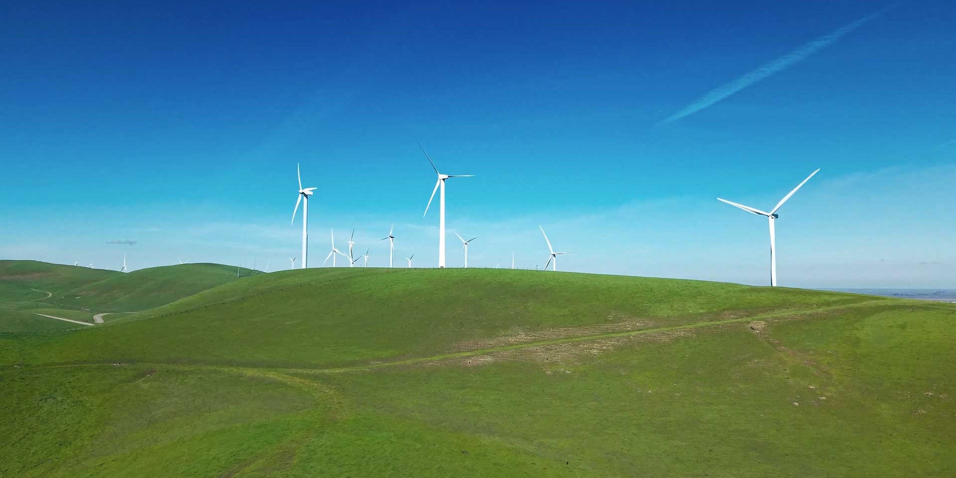 wind turbines at Altamont Pass Wind Farm, Dublin, California