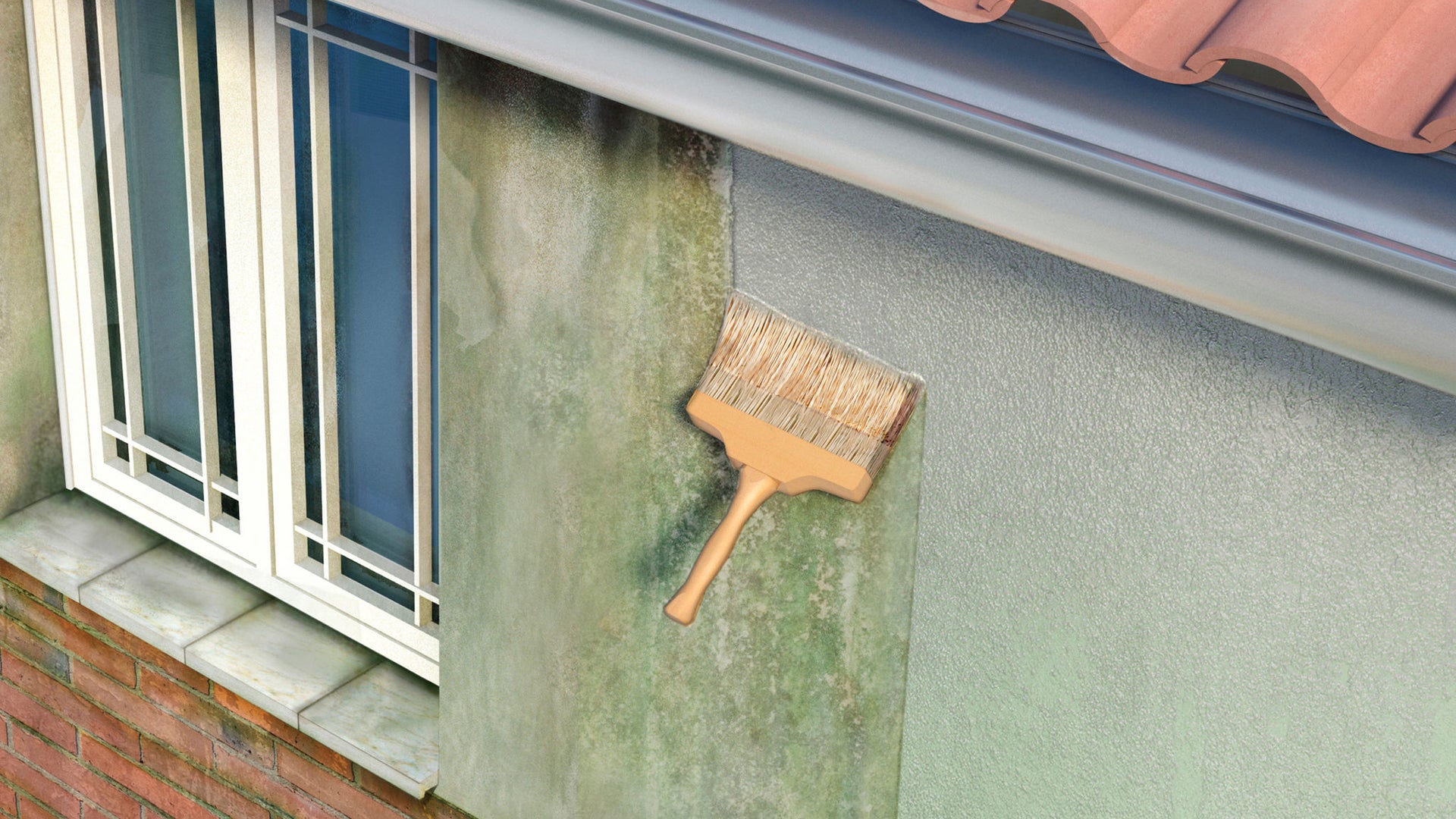 Sika Mata Hongos is applied to a mouldy wall with a brush