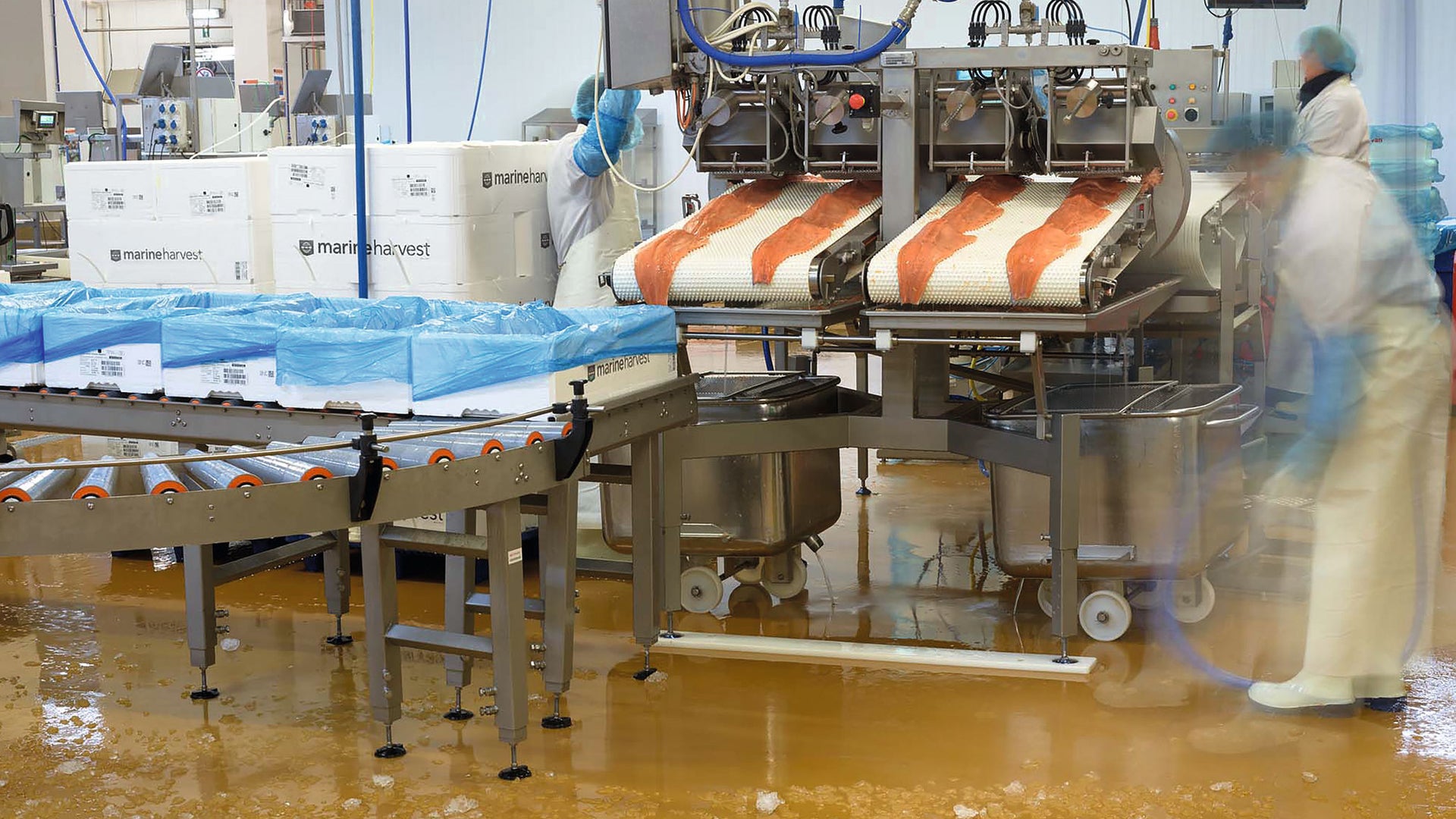 Marine harvest industiral floor