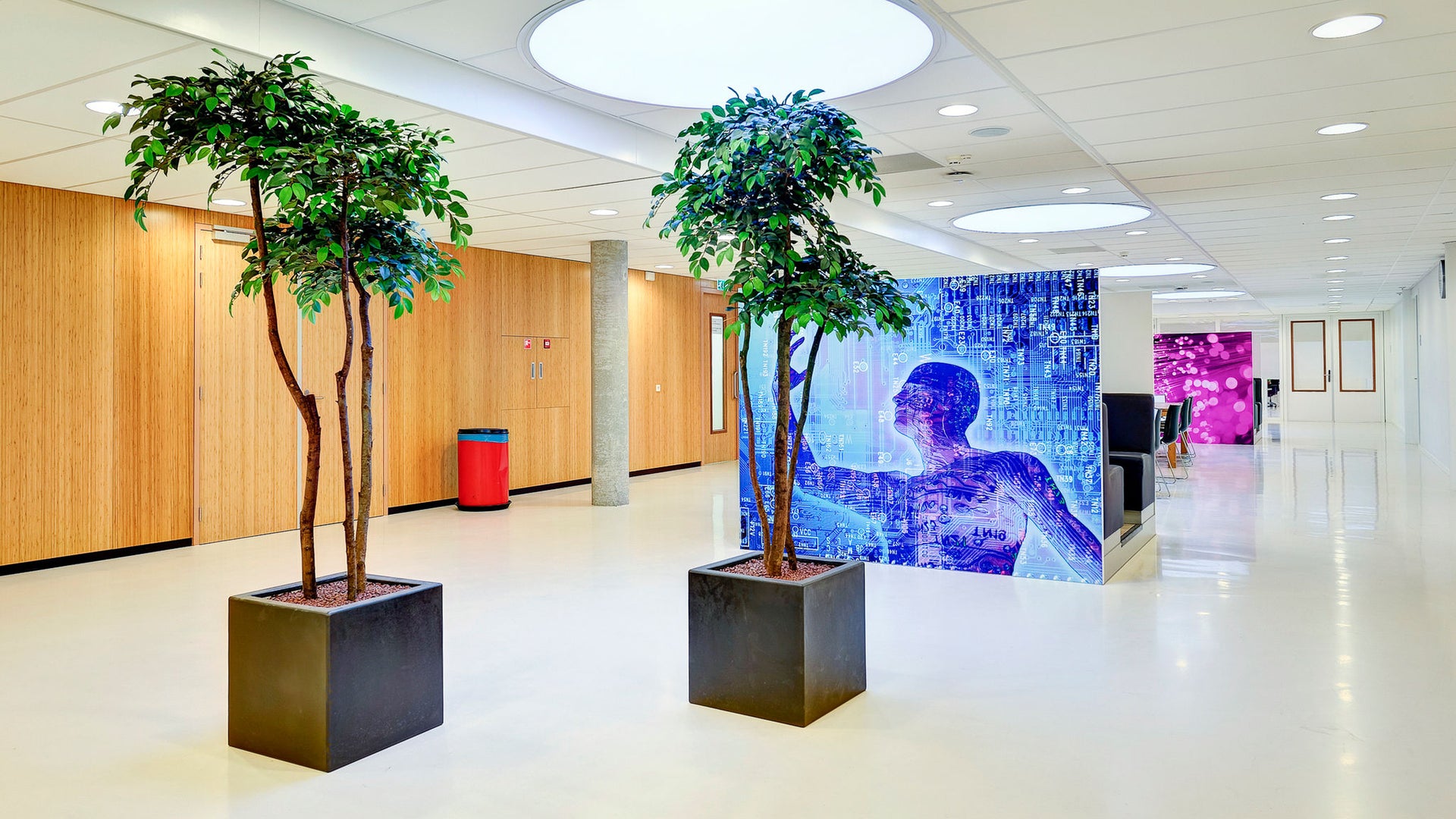 Aloysis Collage Hilversum floor finished project