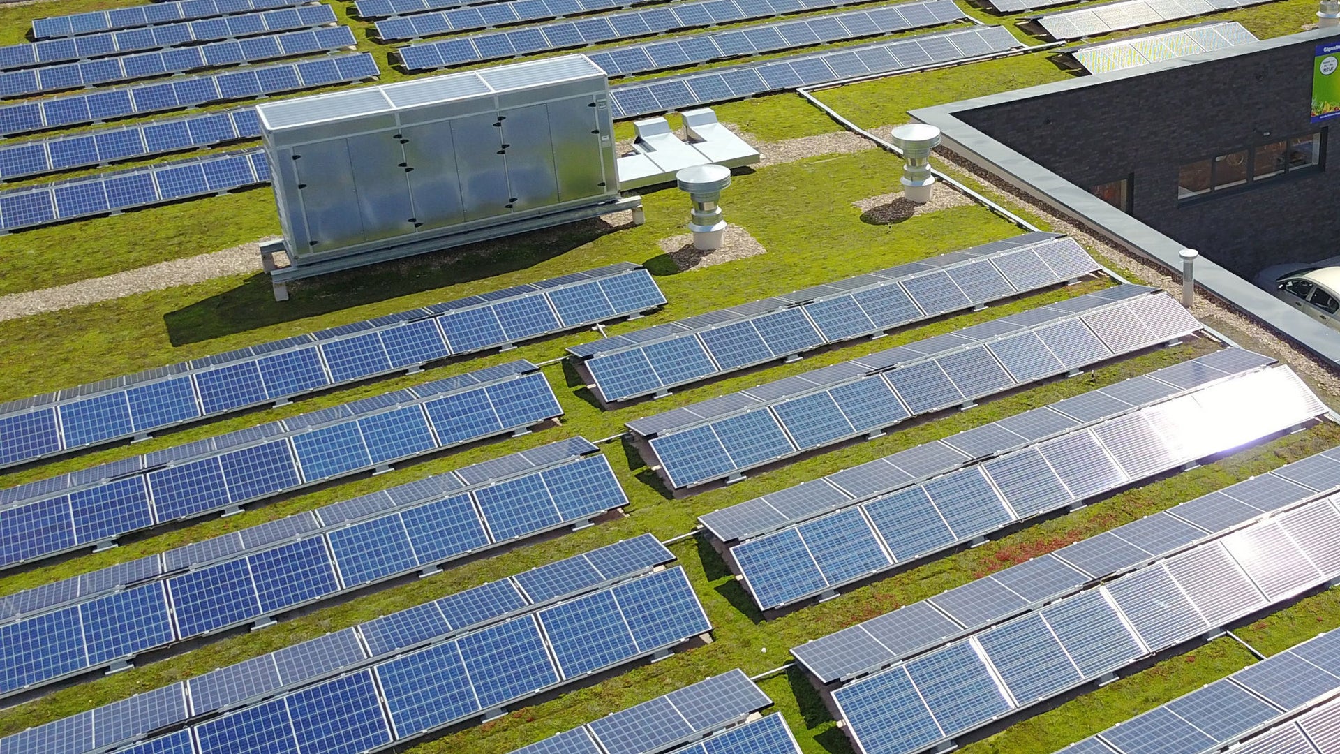 Large rooftop solar panel installation on green roof