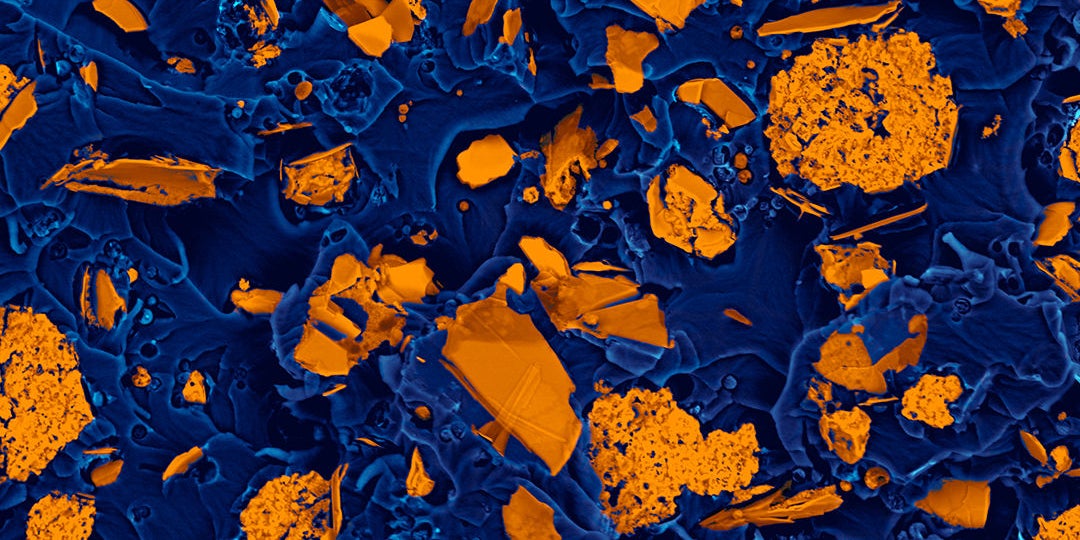 xolutec lab micro photo