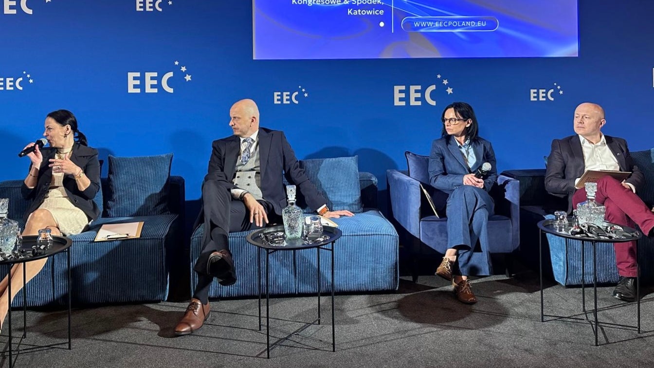 Business panel discussion at EEC conference