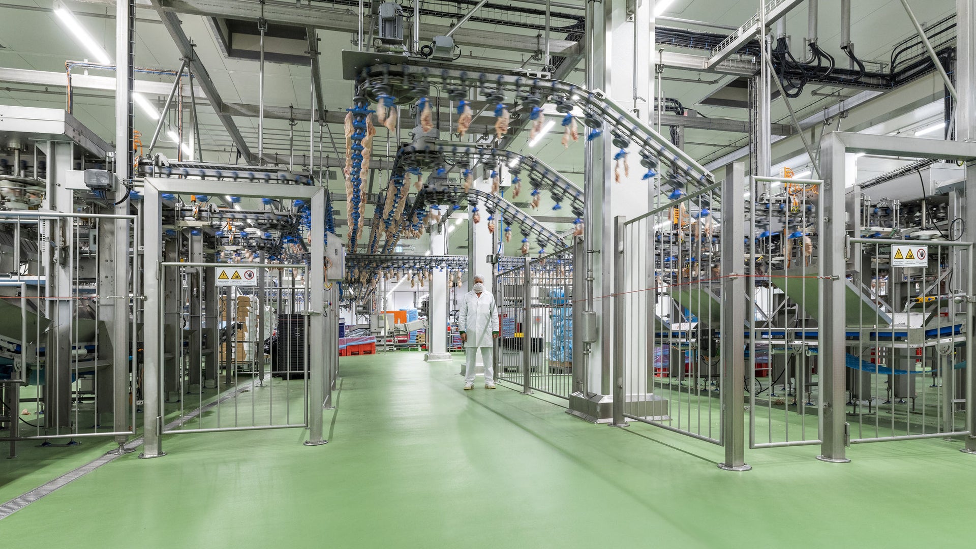 Green floor of a food processing plant