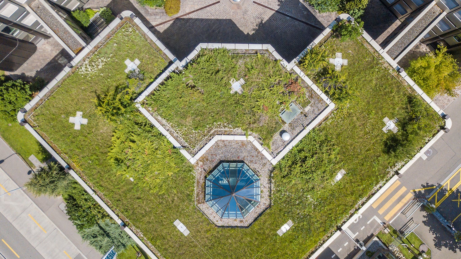 Green roof aerial view