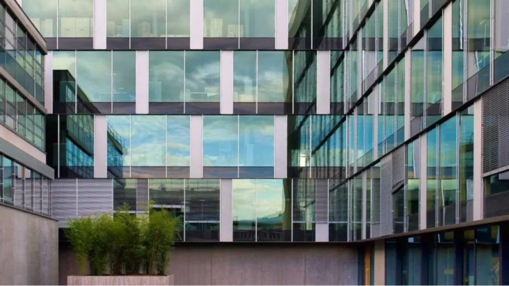 Modern glass building with green plants