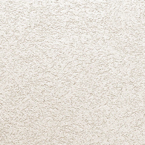 PAREX® DPR Acrylic Finish