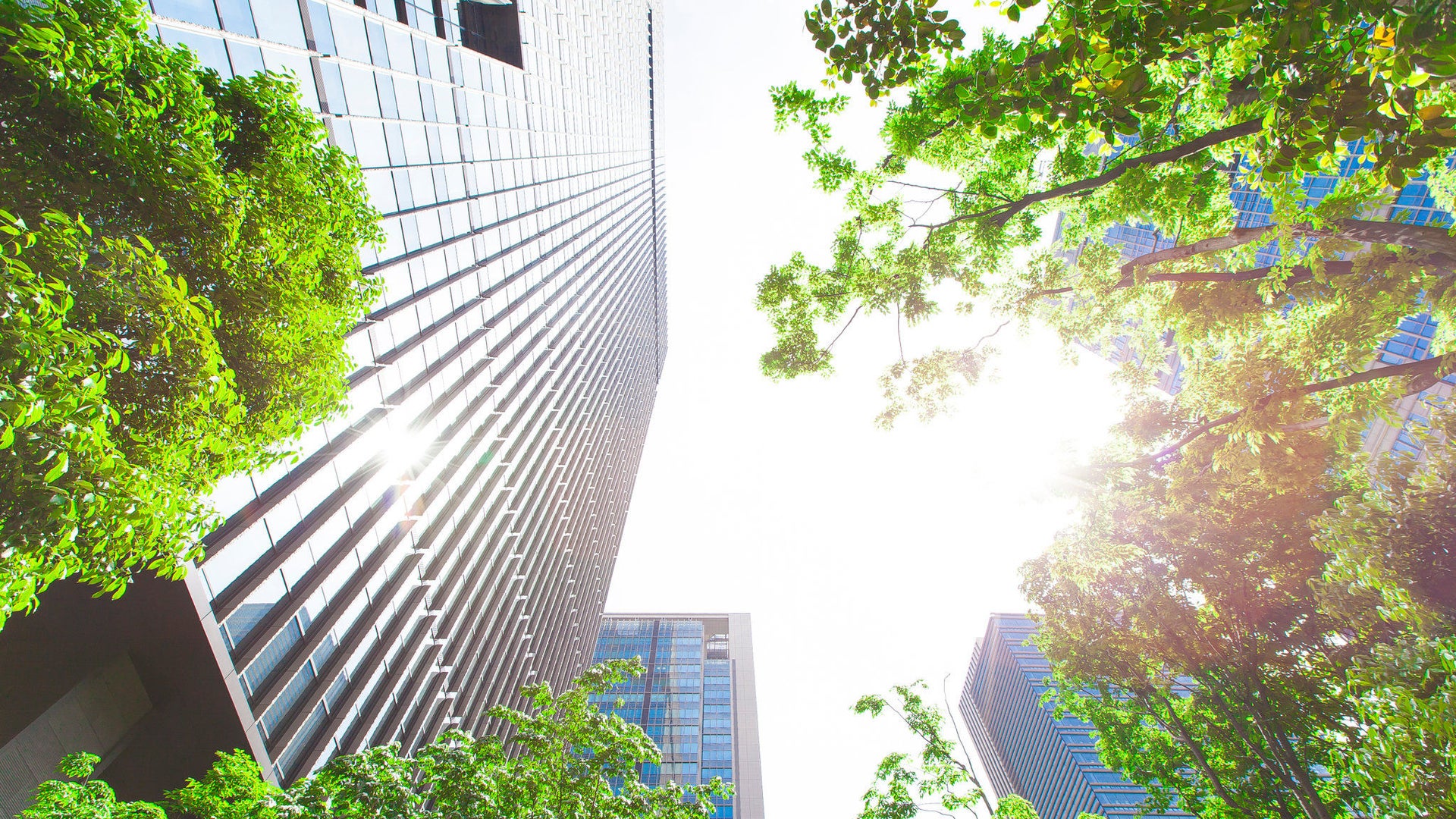 Sustainability