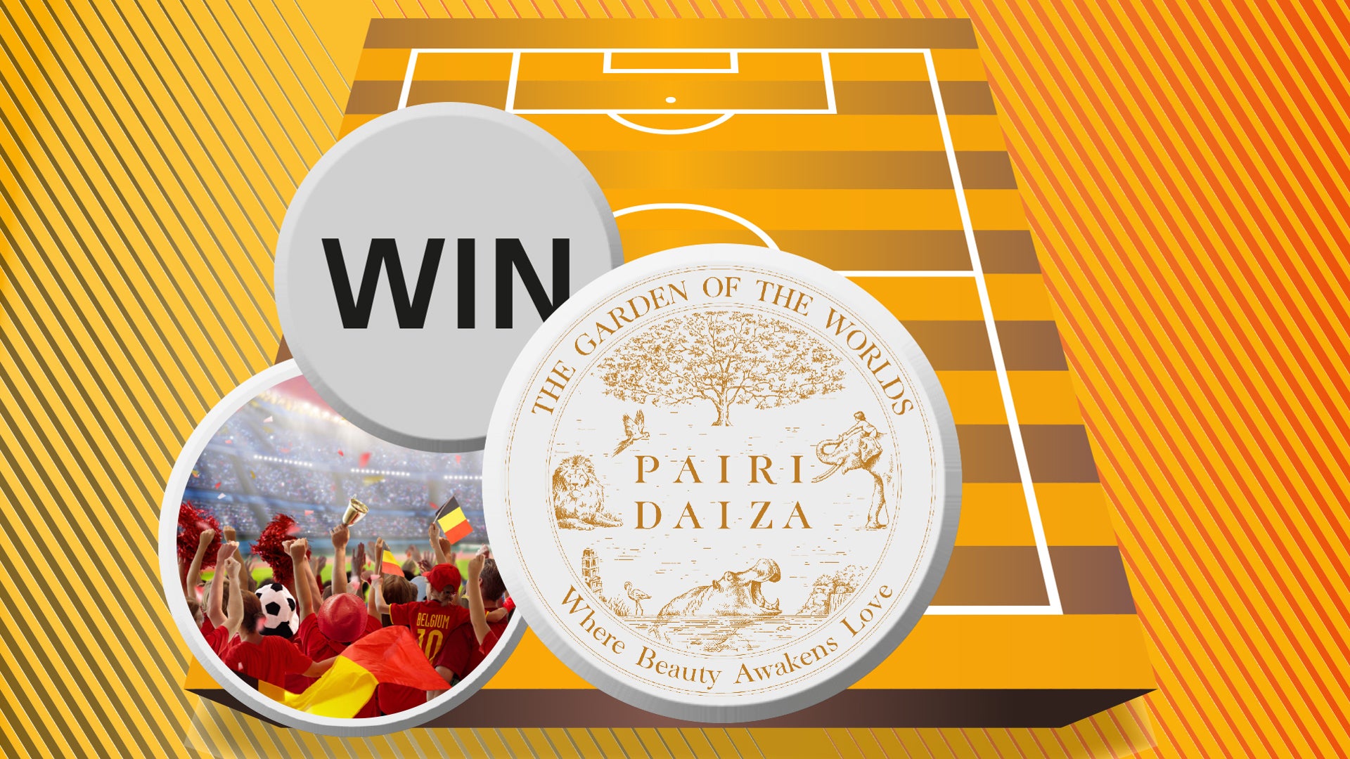 Soccer Stadium Crowd with Pairi Daiza Medallion Overlay
